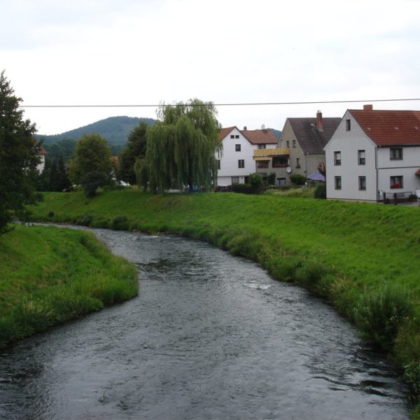 HWS-Deich im Bereich Ortslage Stedtfeld (Zustand vor Baumaßnahme)