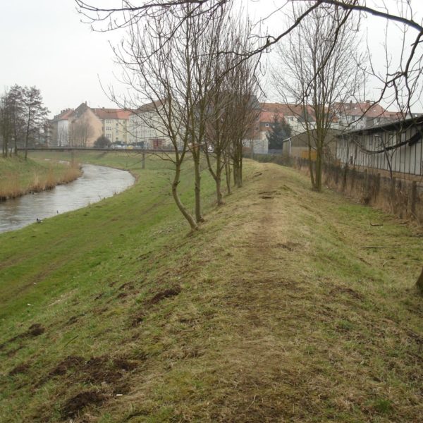 HWS-Deich in Höhe Karolinenstraße