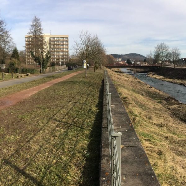 HWS-Deich mit integrierter HWS-Wand im Bereich Karolinenstraße