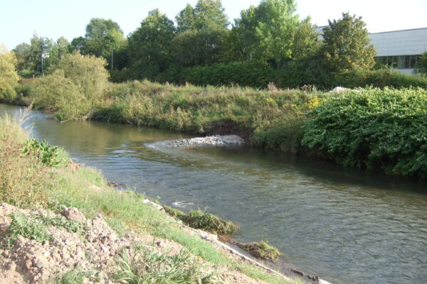 Strukturmaßnahme-kleineBuhne